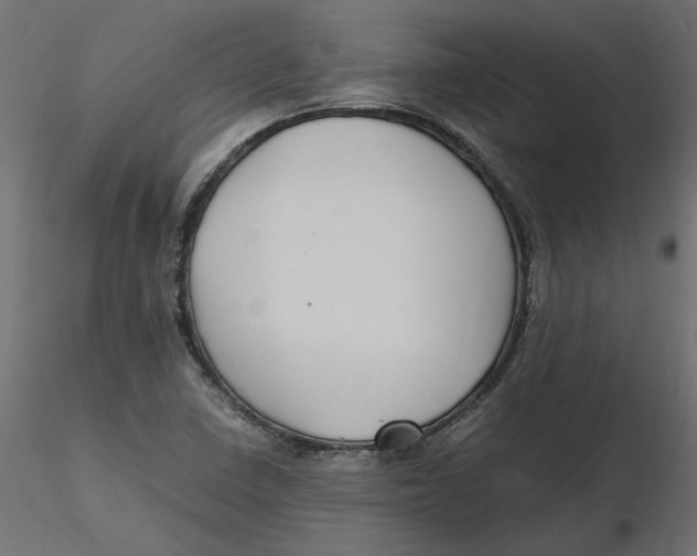 X0000116561410200912311923