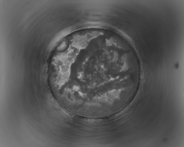 X0000116561411200912311923