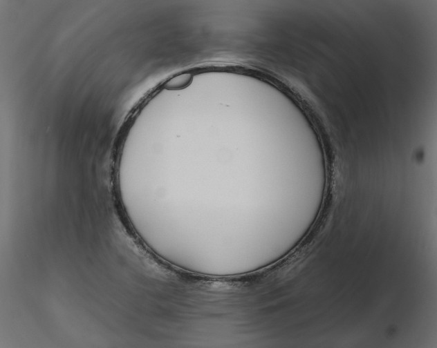 X0000116561412200912311923