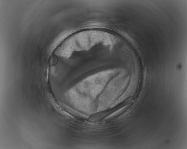 X0000116561413200912311923