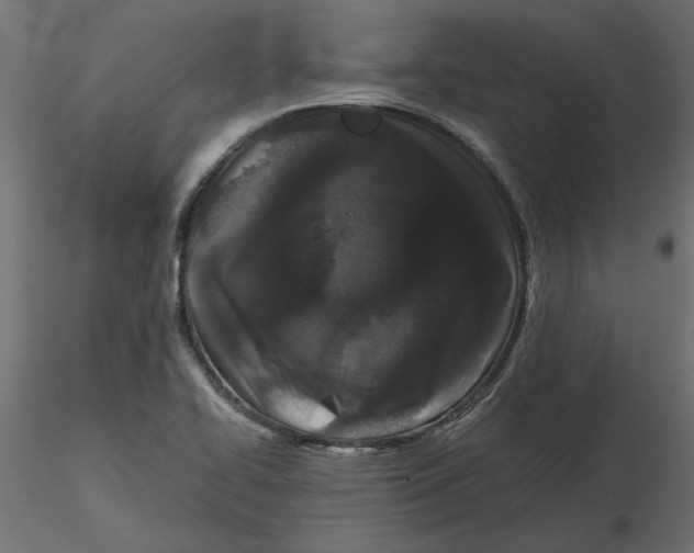 X0000116561414200912311923