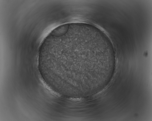 X0000116561415200912311923