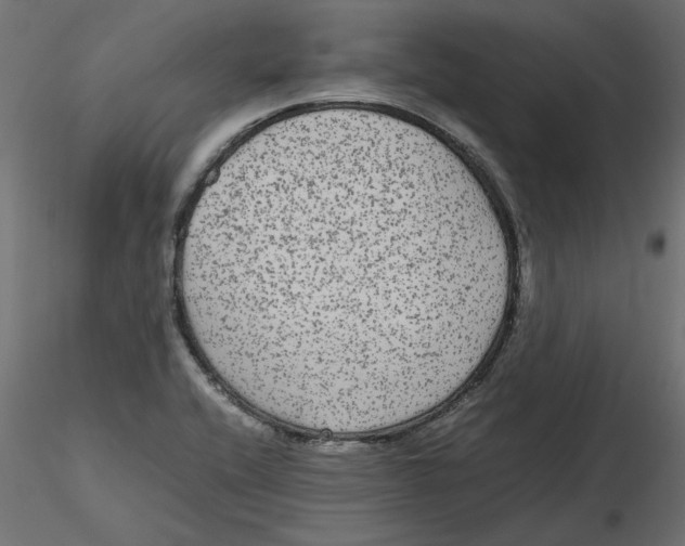 X0000116561416200912311923