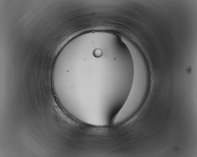 X0000116561417200912311923