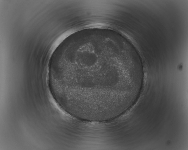 X0000116561418200912311923