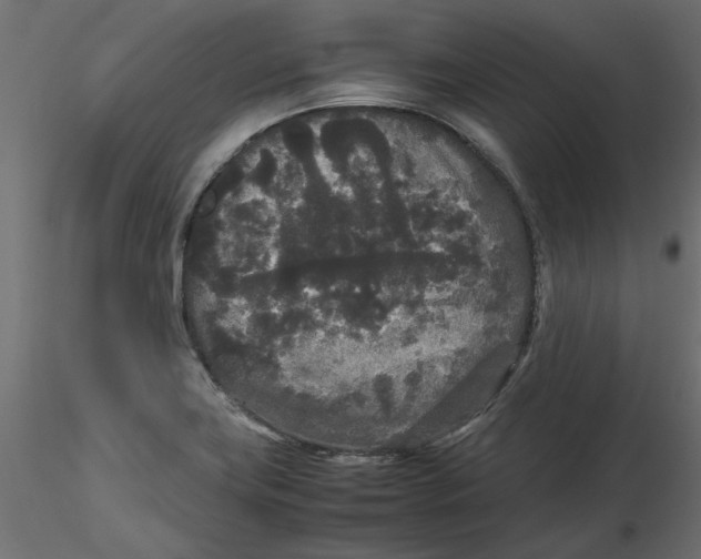 X0000116561419200912311923