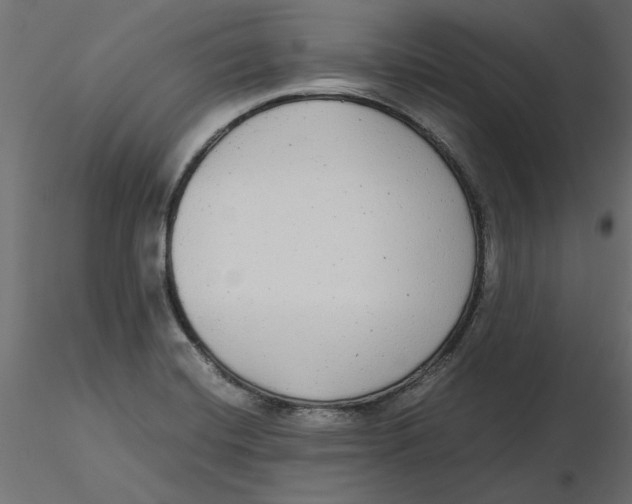 X0000116561420200912311923