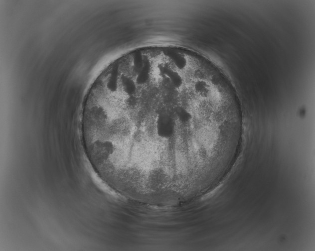 X0000116561421200912311923