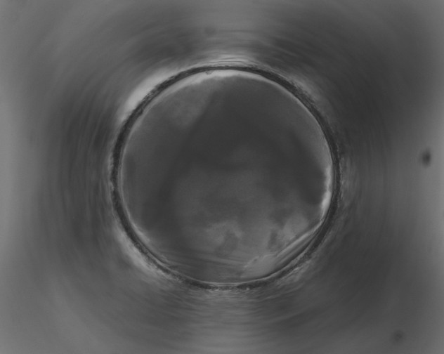 X0000116561422200912311923