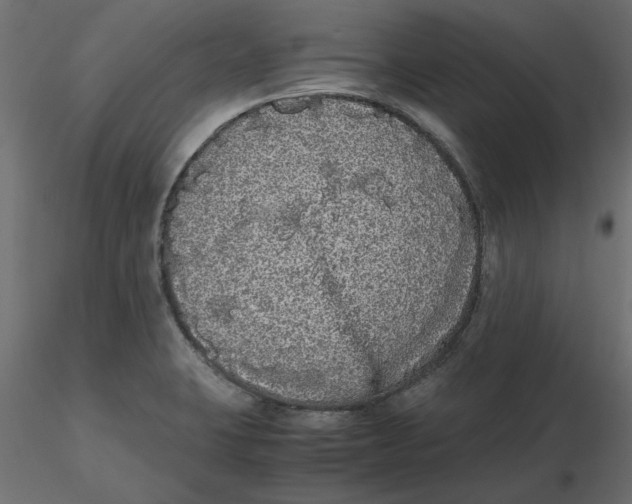 X0000116561423200912311923