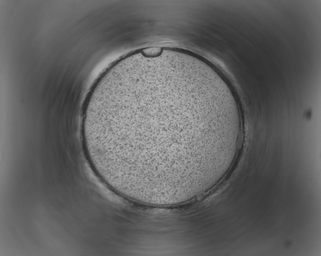 X0000116561424200912311923