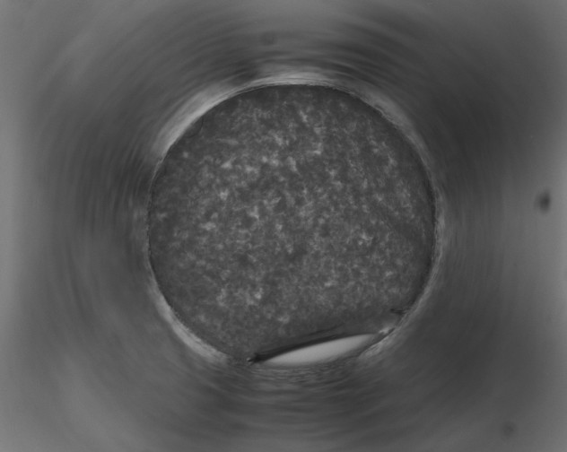 X0000116561425200912311923