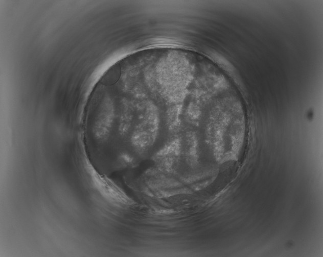 X0000116561427200912311923