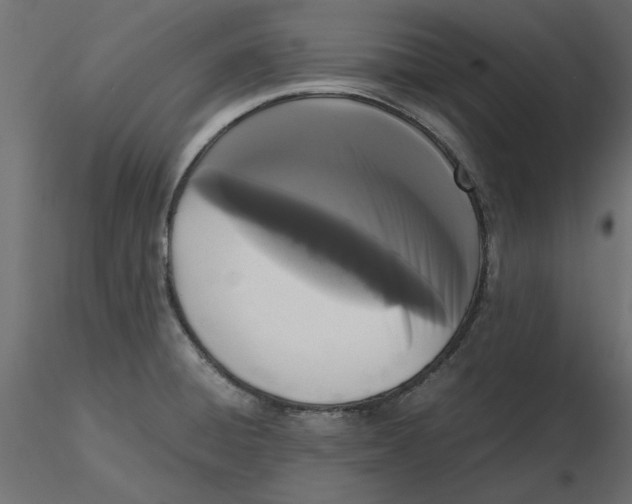 X0000116561428200912311923