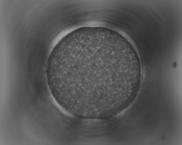 X0000116561429200912311923