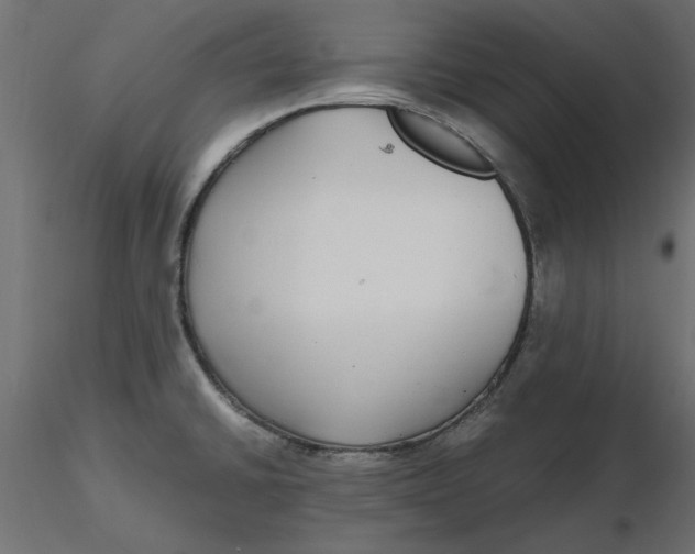 X0000116561430200912311923