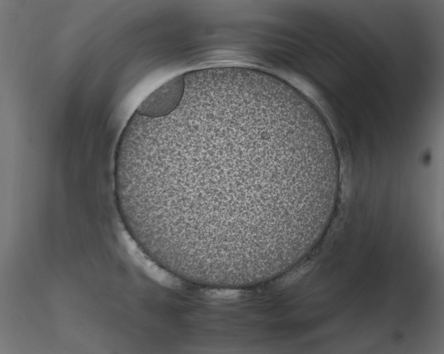 X0000116561431200912311923