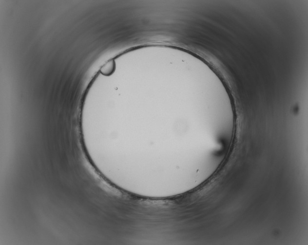 X0000116561432200912311923