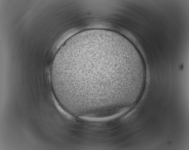 X0000116561433200912311923