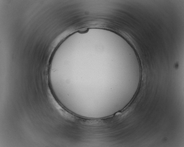 X0000116561434200912311923