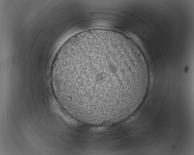 X0000116561435200912311923