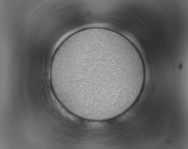 X0000116561436200912311923