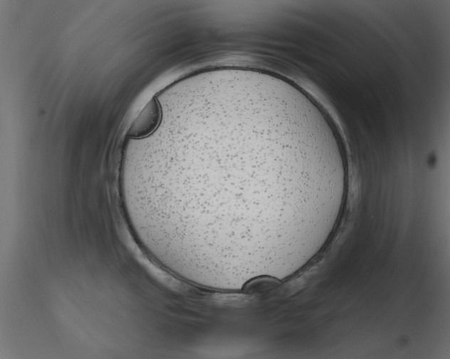 X0000116561437200912311923