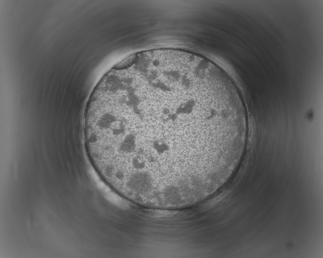 X0000116561439200912311923