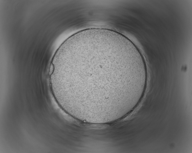 X0000116561440200912311923