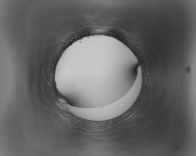 X0000116561441200912311923