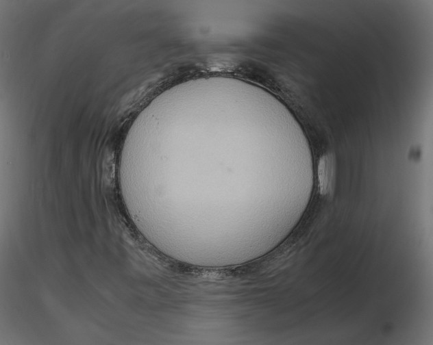 X0000116561443200912311922