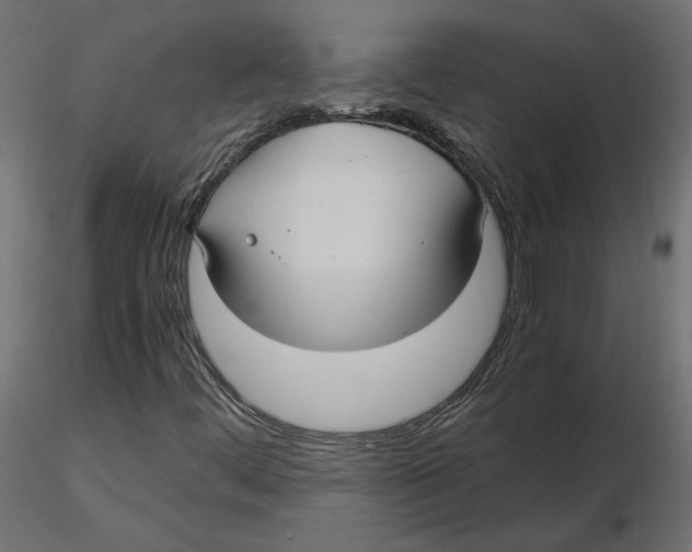 X0000116561444200912311922