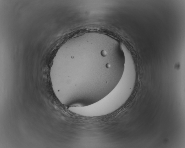 X0000116561445200912311922