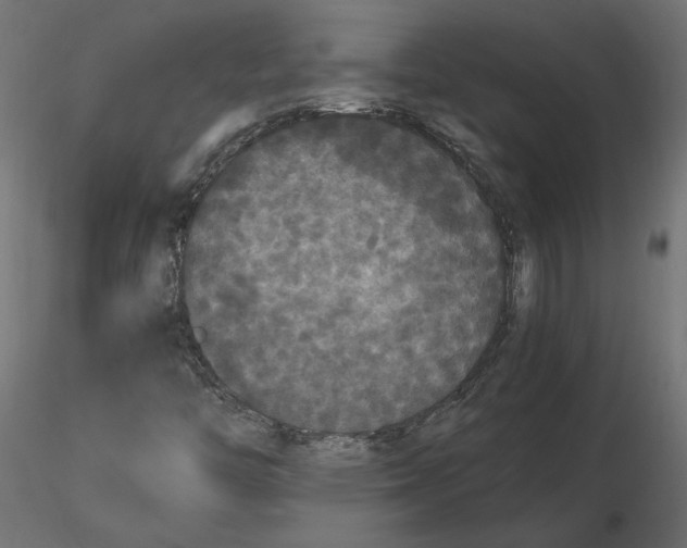 X0000116561446200912311922