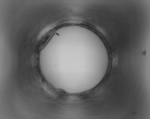 X0000116561448200912311922