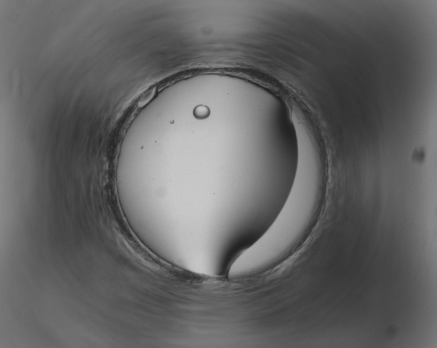 X0000116561449200912311922