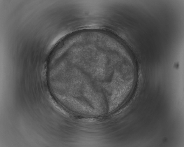 X0000116561450200912311922