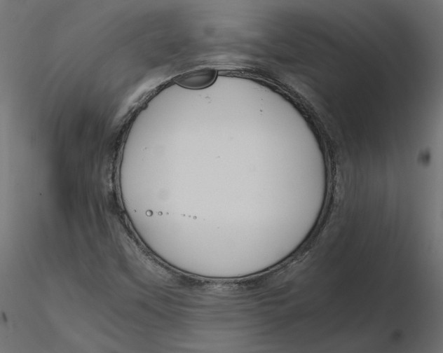 X0000116561451200912311922