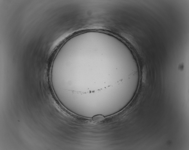 X0000116561452200912311922