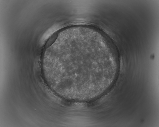 X0000116561453200912311922