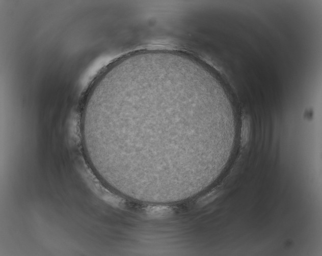 X0000116561454200912311922