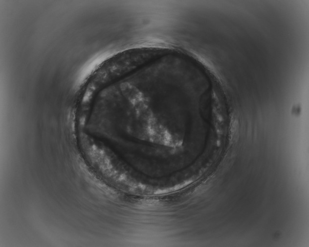 X0000116561455200912311922