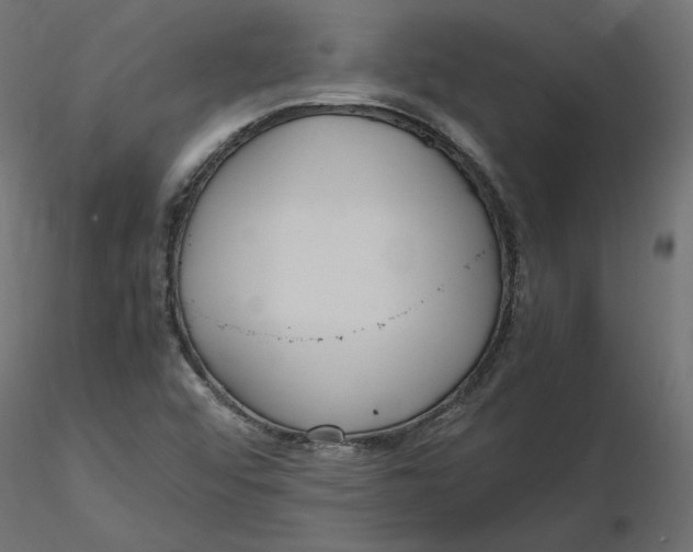 X0000116561456200912311922