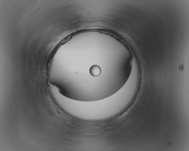 X0000116561457200912311922