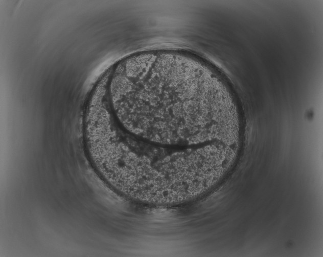 X0000116561459200912311922