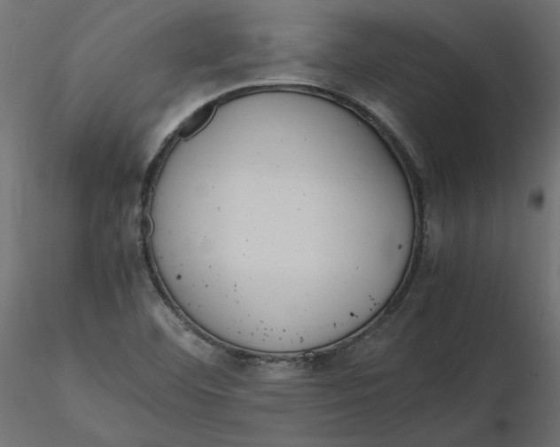 X0000116561460200912311922