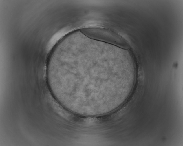 X0000116561461200912311922