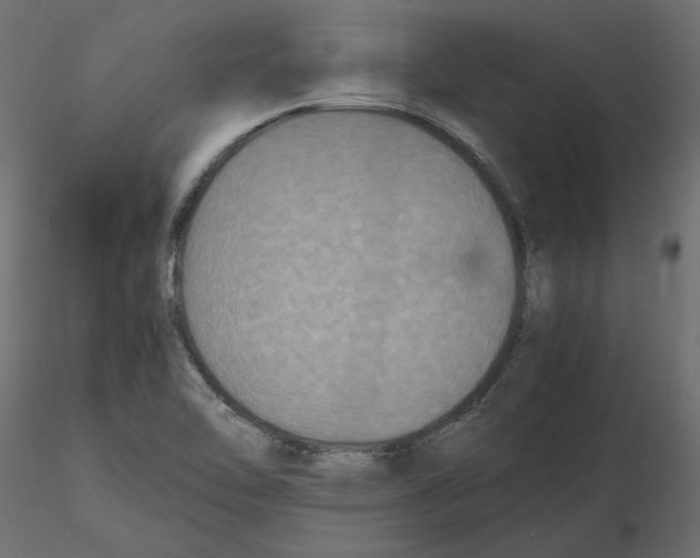 X0000116561462200912311922