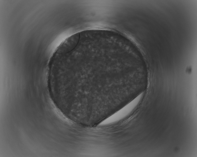 X0000116561463200912311922