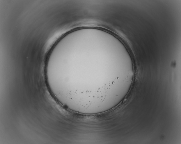 X0000116561464200912311922